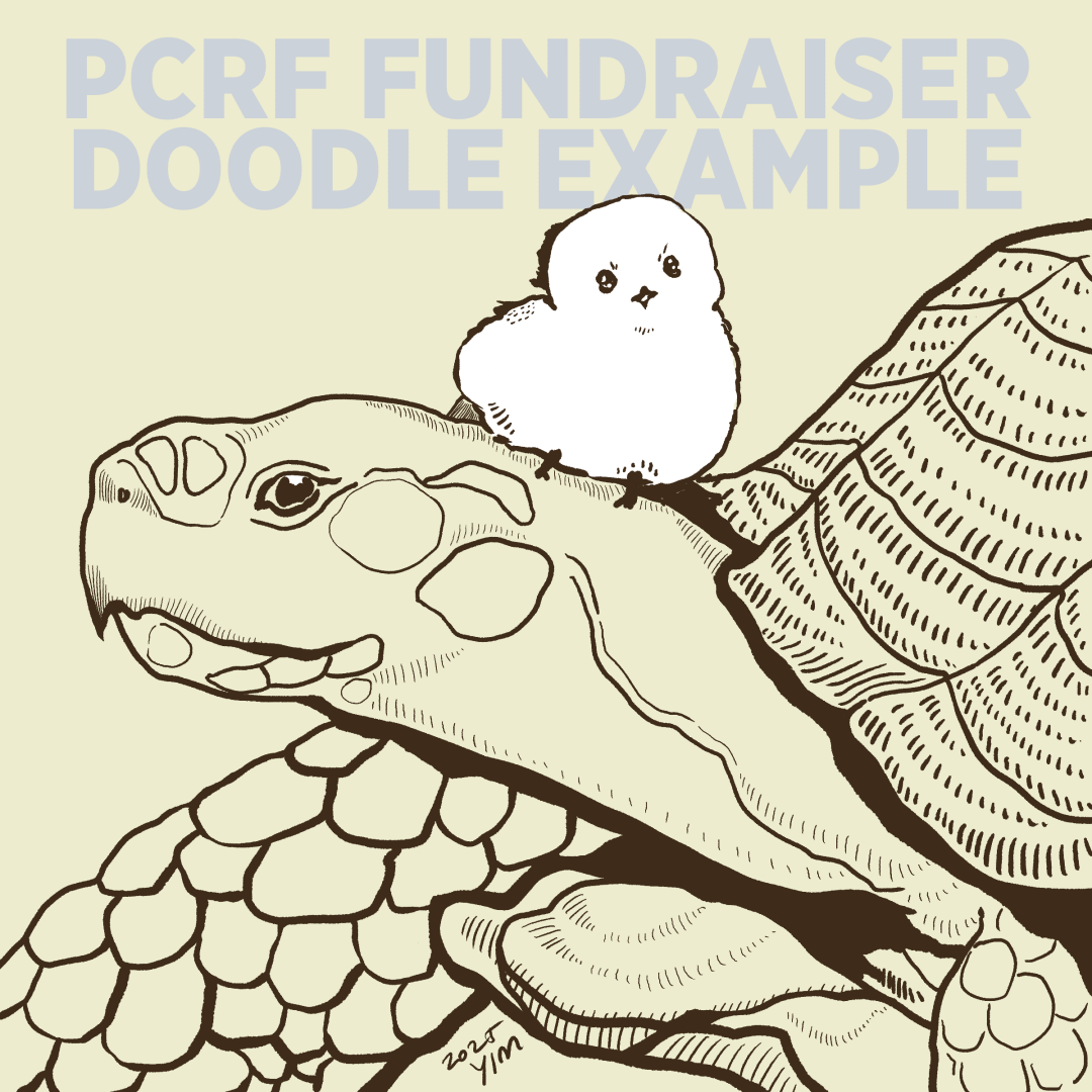 Digital Art - PCRF Fundraiser Doodle