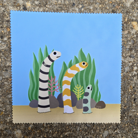 Glasses Cleaning Cloth - Garden Eels