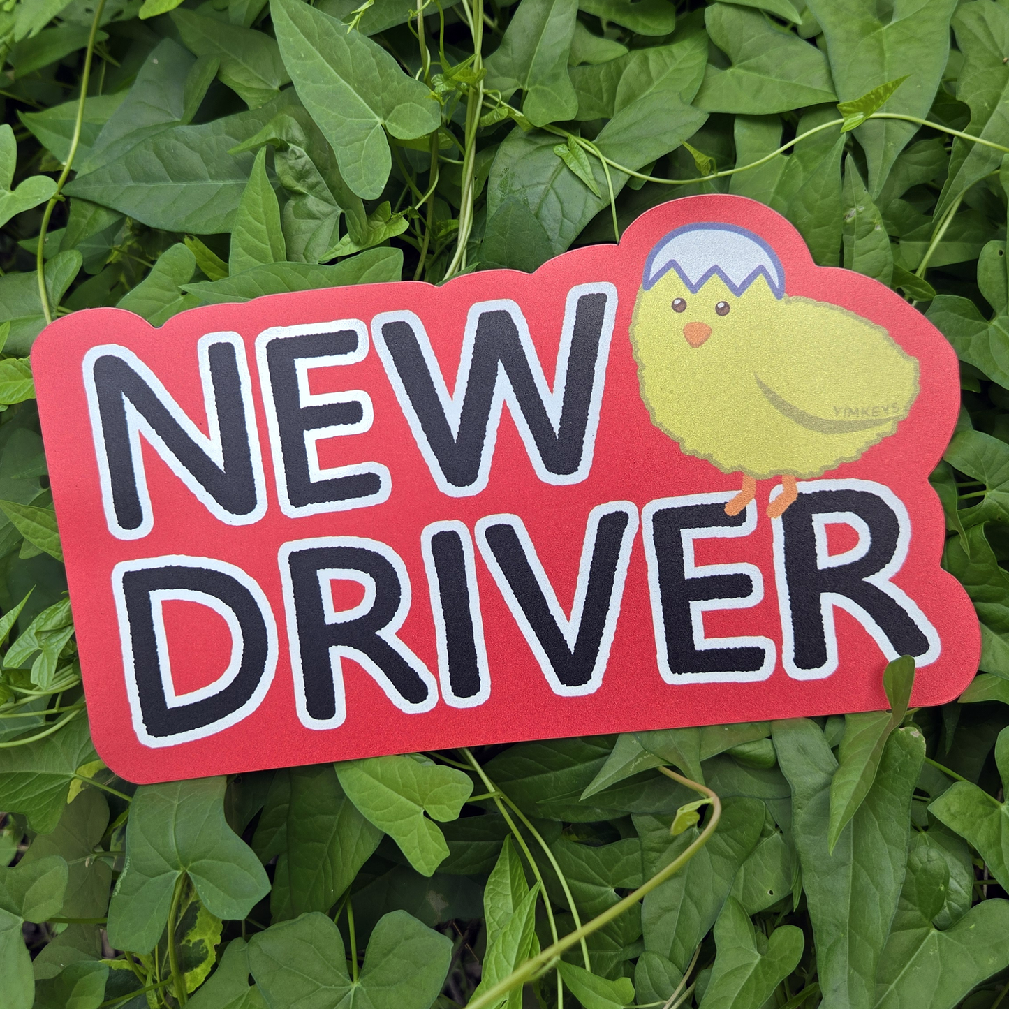 Car Magnet - New Driver