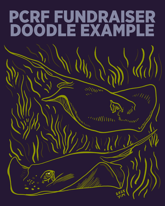 Digital Art - PCRF Fundraiser Doodle