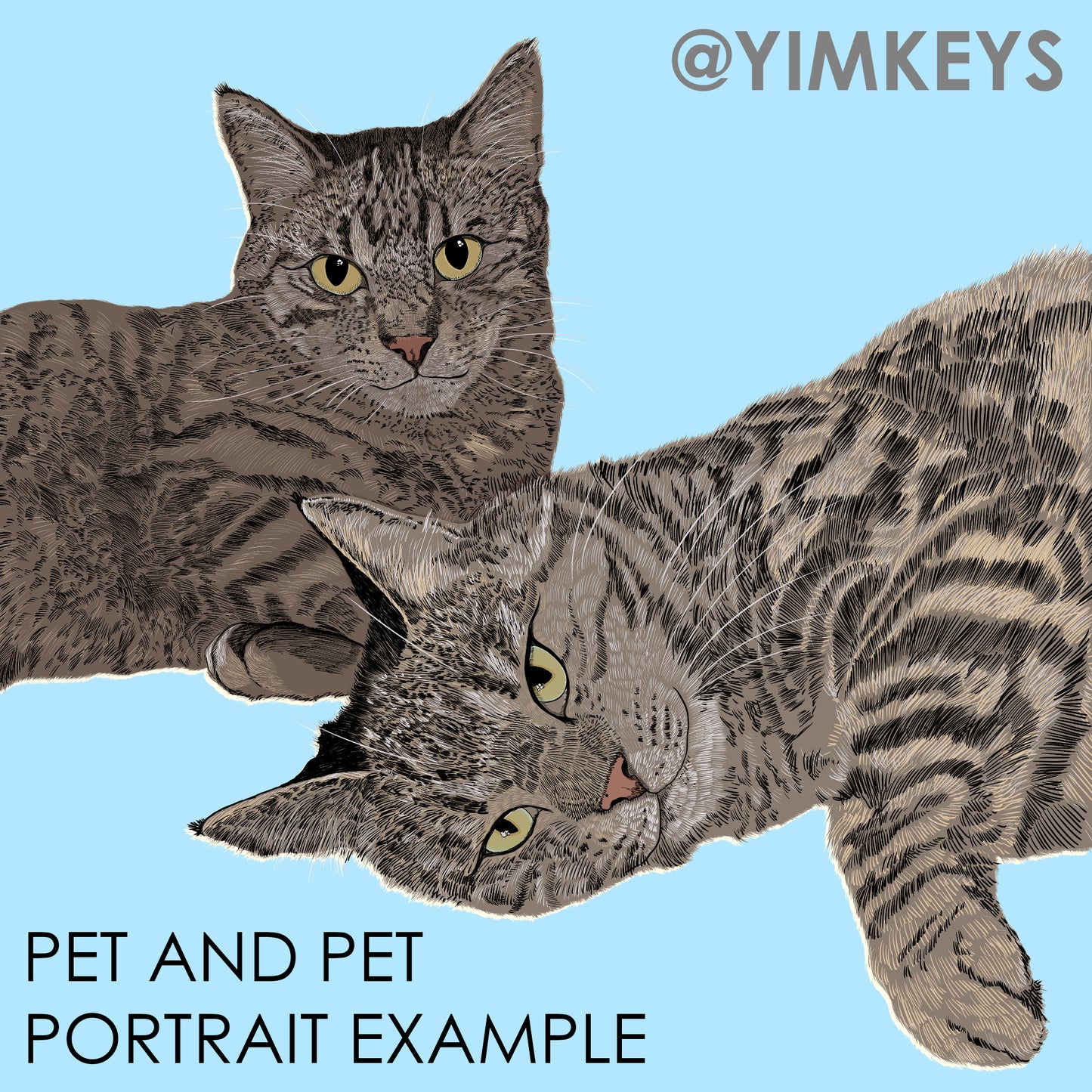 Digital Art - Pet Portrait